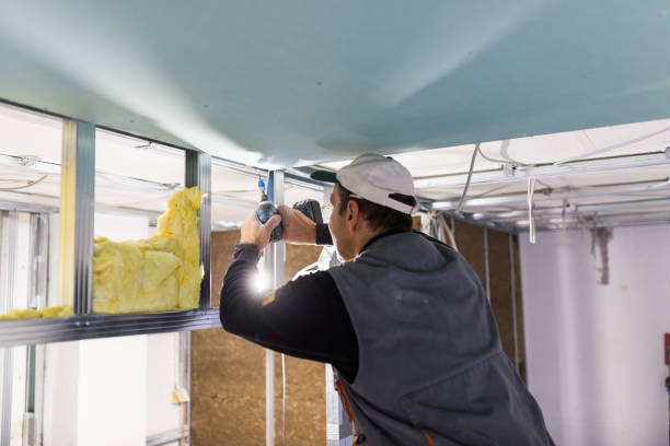 Best Cellulose Insulation  in Vandercook Lake, MI