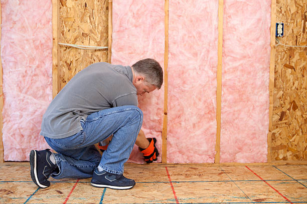 Best Insulation Contractor Near Me  in Vandercook Lake, MI